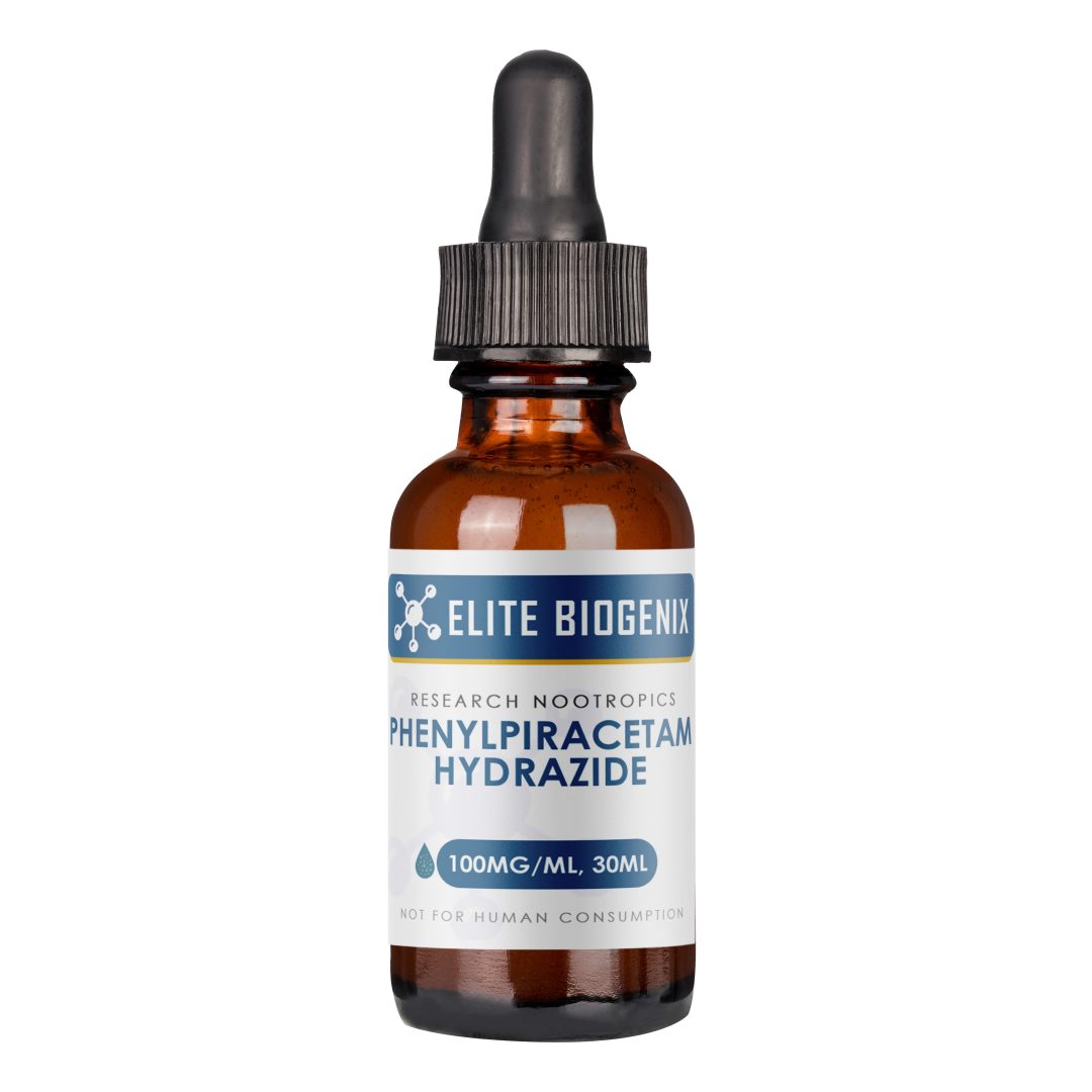 Phenylpiracetam Hydrazide