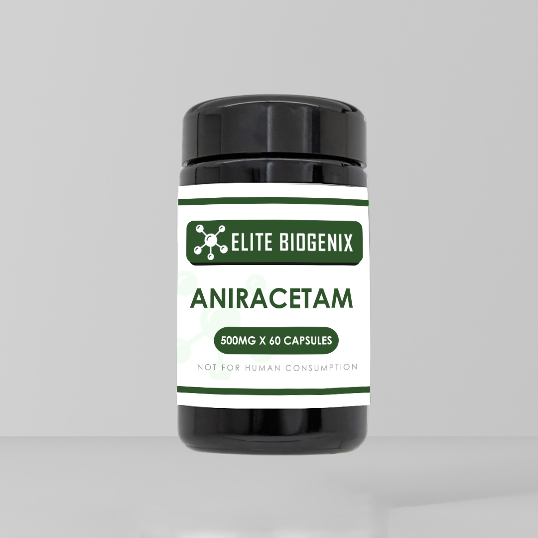 Aniracetam